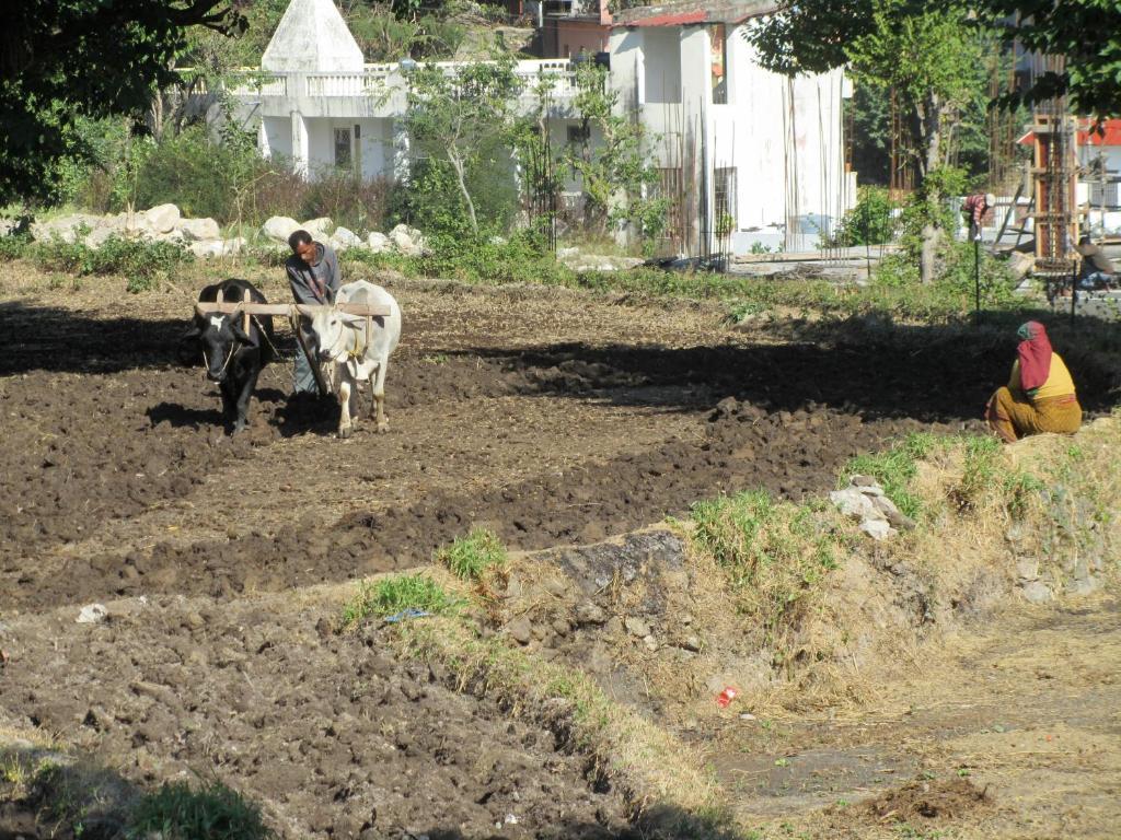 Ayushman Cottage Rishīkesh Dış mekan fotoğraf